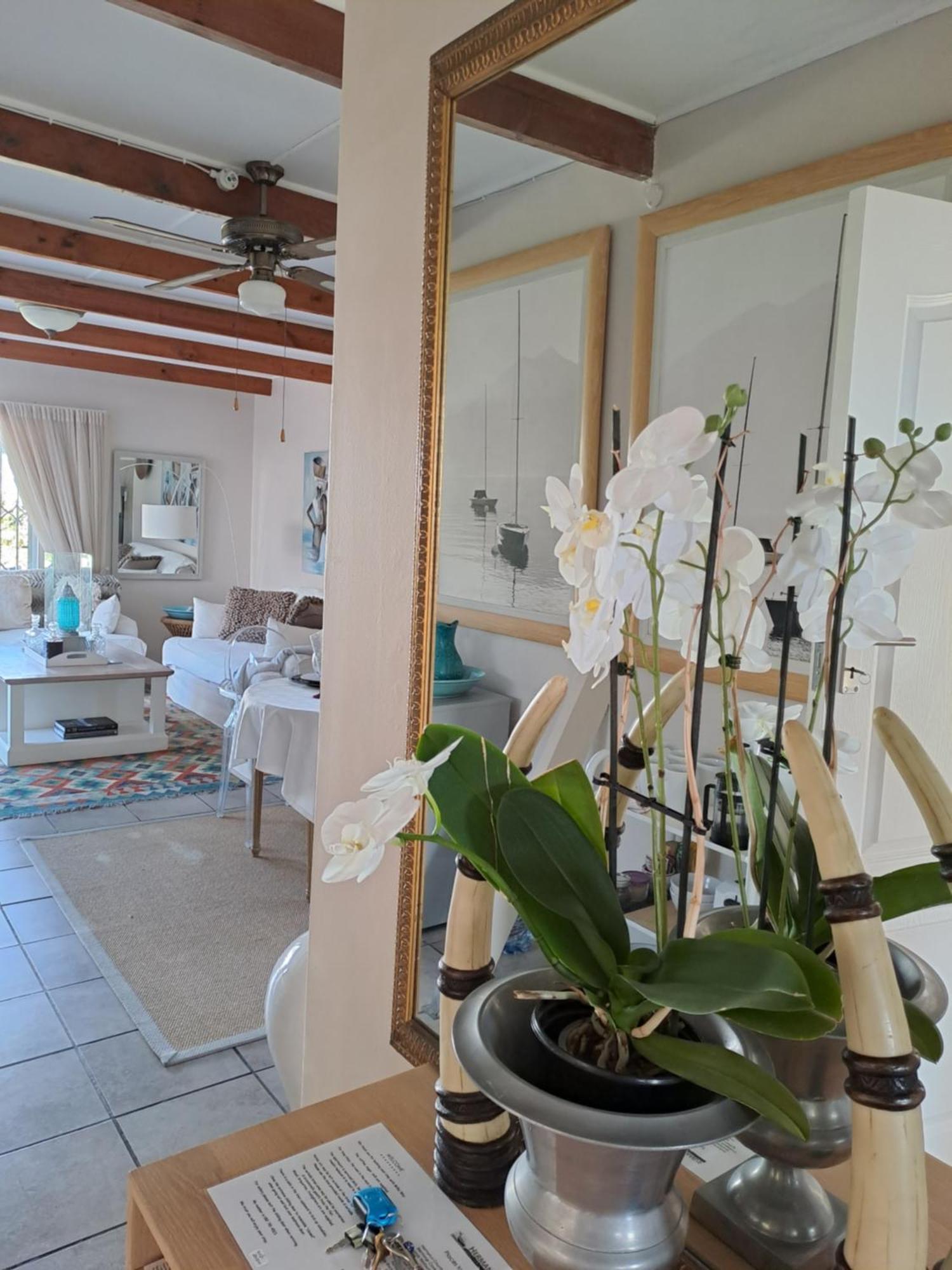 Milky Way Executive Suite Hermanus Εξωτερικό φωτογραφία